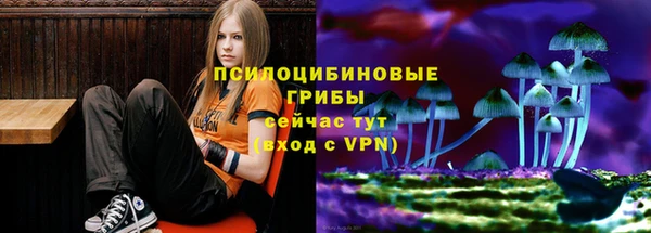 молекула духа Белокуриха